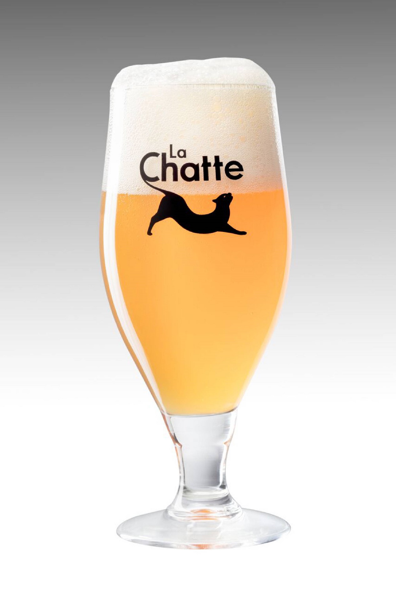 Verre Chatte Au Comptoir Des Belges